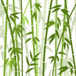 Can Rabbits Eat Bamboo? Full Explained Guide